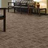 Philadelphia Commercial Carpet TileArea Tile